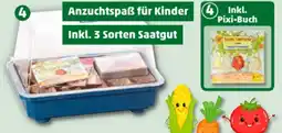 PENNY Romberg Mini-Gewächshaus TOM TOMATE Angebot