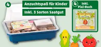 PENNY Romberg Mini-Gewächshaus TOM TOMATE Angebot