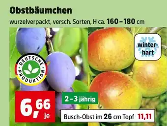 Thomas Philipps Deutsche produktion obstbäumchen Angebot