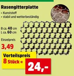 Thomas Philipps Rasengitterplatte Angebot