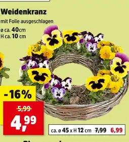 Thomas Philipps Weidenkranz Angebot