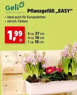 Thomas Philipps Geli pflanzgefäß easy Angebot