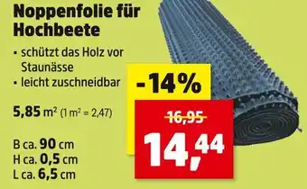 Thomas Philipps Noppenfolie für hochbeete Angebot