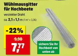 Thomas Philipps Wühlmausgitter für hochbeete Angebot