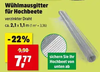 Thomas Philipps Wühlmausgitter für hochbeete Angebot