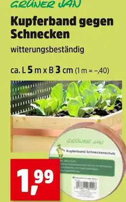 Thomas Philipps Grüner jan kupferband gegen schnecken Angebot