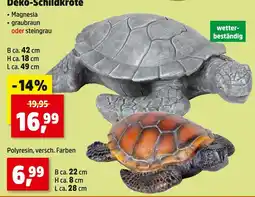 Thomas Philipps Magnesia deko-schildkröte Angebot