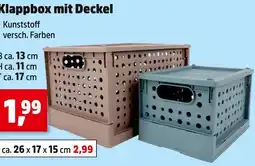 Thomas Philipps Klappbox mit deckel Angebot