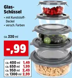 Thomas Philipps Glas-schüssel Angebot