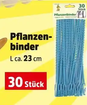 Thomas Philipps Pflanzenbinder Angebot