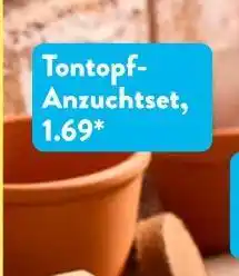 Aldi Süd Tontopf-anzuchtset Angebot