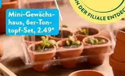 Aldi Süd Mini-gewächshaus Angebot