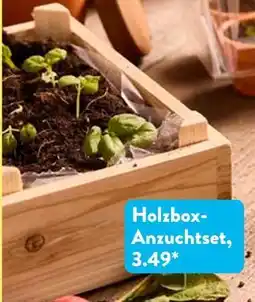 Aldi Süd Holzbox-anzuchtset Angebot