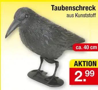 Zimmermann Taubenschreck Angebot