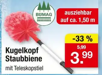 Zimmermann Bümag kugelkopf staubbiene Angebot