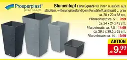 Zimmermann Prosperplast blumentopf furu square Angebot