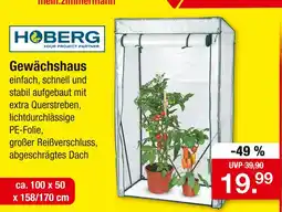 Zimmermann Hoberg gewächshaus Angebot