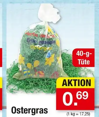 Zimmermann Ostergras Angebot