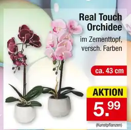 Zimmermann Real touch orchidee Angebot