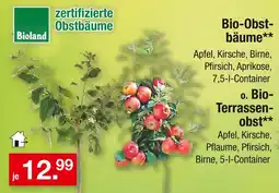 Zimmermann Bioland bio-obstbäume oder bio-terrassenobst Angebot