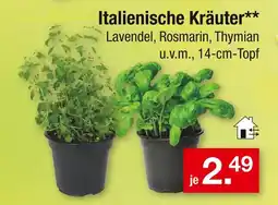 Zimmermann Italienische kräuter Angebot