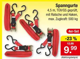 Zimmermann Spanngurte Angebot