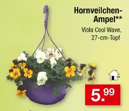 Zimmermann Hornveilchen-ampel Angebot