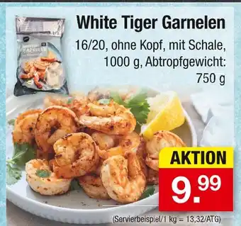 Zimmermann White tiger garnelen Angebot