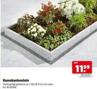 Hagebau Rasenkantenstein Angebot