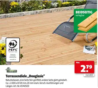 Hagebau Mr. gardener terrassendiele „douglasie“ Angebot