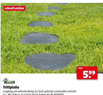 Hagebau Mr. gardener trittplatte Angebot