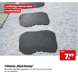 Hagebau Trittstein black beauty Angebot