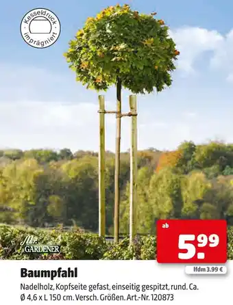 Hagebau Mr. gardener baumpfahl Angebot