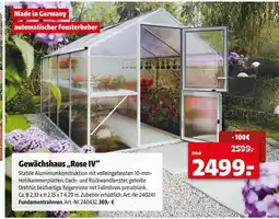 Hagebau Rose iv gewächshaus Angebot