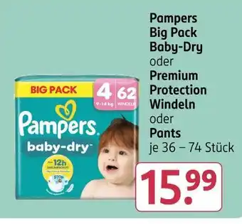 Rossmann Pampers big pack baby-dry oder premium protection windeln oder pants Angebot