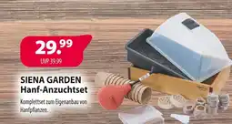 Kiebitzmarkt Siena garden hanf-anzuchtset Angebot