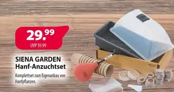 Kiebitzmarkt Siena garden hanf-anzuchtset Angebot