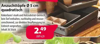 Kiebitzmarkt Anzuchttöpfe ø 5 cm quadratisch Angebot