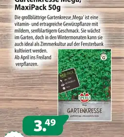 Kiebitzmarkt Gartenkresse mega, maxipack 50g Angebot