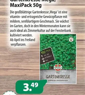 Kiebitzmarkt Gartenkresse mega, maxipack 50g Angebot