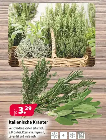 Kiebitzmarkt Italienische kräuter Angebot