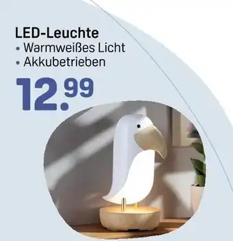 Rossmann Led-leuchte Angebot