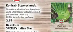 Kiebitzmarkt Sperli kohlrabi superschmelz Angebot