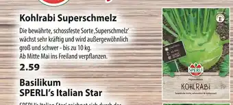 Kiebitzmarkt Sperli kohlrabi superschmelz Angebot