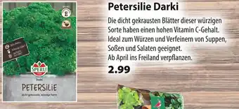 Kiebitzmarkt Sperli petersilie darki Angebot