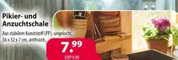 Kiebitzmarkt Pikier- und anzuchtschale Angebot