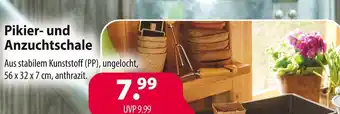 Kiebitzmarkt Pikier- und anzuchtschale Angebot