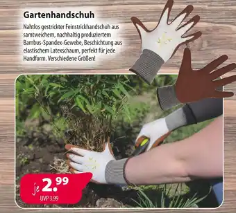 Kiebitzmarkt Gartenhandschuh Angebot