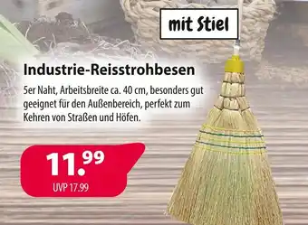 Kiebitzmarkt Industrie-reisstrohbesen Angebot