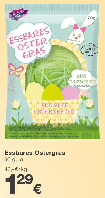 KiK Essbares Ostergras Angebot